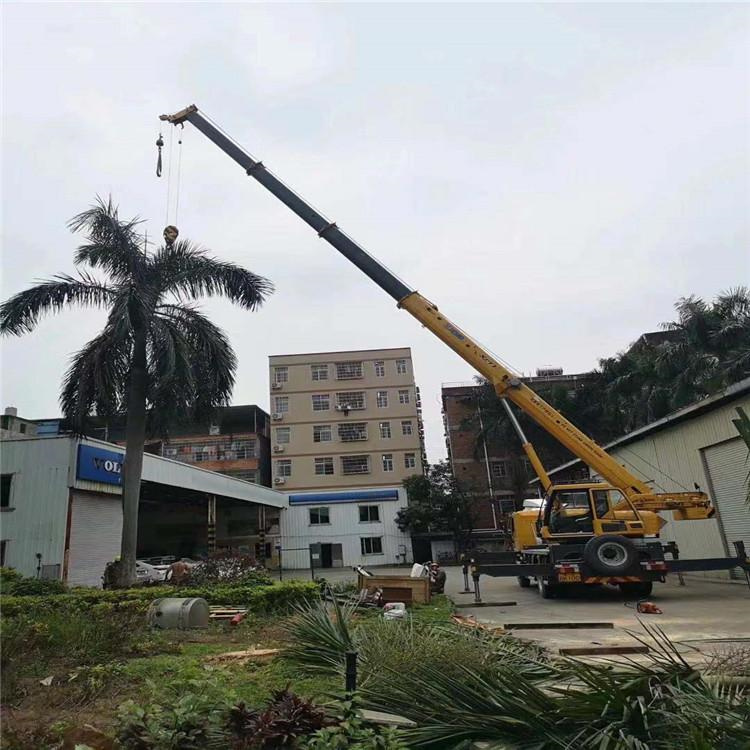 井陉县吊车出租事故案例分析：如何避免设备倾覆风险